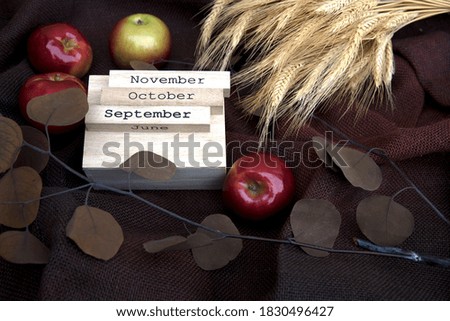 fall calendar of tree months