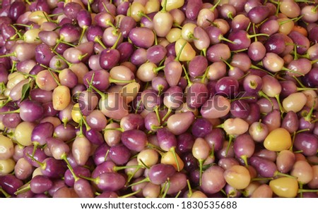 group of purple pepper for sale