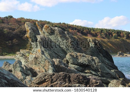 Sakhalin Island wildlife landscape in autumn