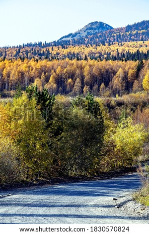 In the vicinity Of lake Zyuratkul in the Ural Mountains, Golden autumn, Russia