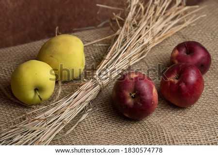 Still-life painting with apples and herb. Autumn harvest illustration 