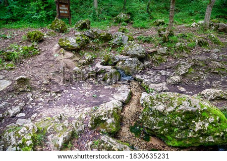 Source of clean water Vodomara (Alcedo atthis) in the mountain Ozren, Sokobanja, Serbia. 