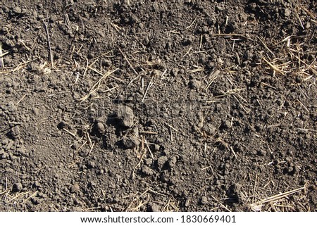 Agricultural field ground with straw background texture