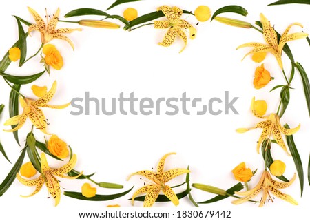 Beautiful yellow lily flowers set out with a frame. Isolated on white background. High resolution photo. Full depth of field. Space available for text.