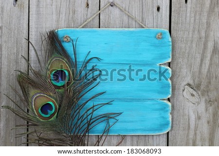 Blank antique blue sign with peacock feathers hanging on wood background