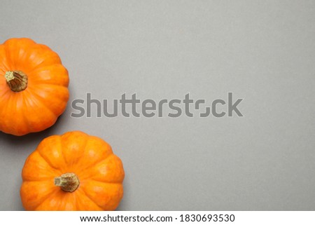 Fresh ripe pumpkins on grey background, flat lay. Space for text