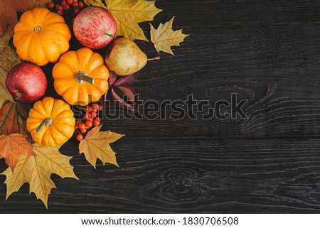 Autumn background with pumpkins, apples, pear, rowan berries and golden maple leaves. Dark rustic wooden background. Place for text.