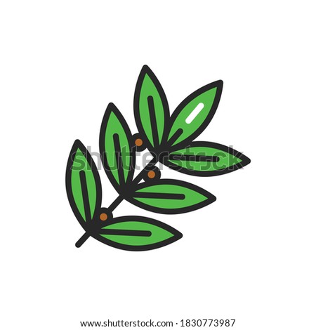 Bay leaf color line icon. Spices product. Vector illustration