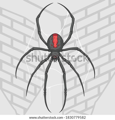 Spider illustration on wall home Premium Vector