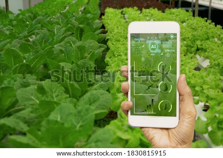 smart farmer holding smartphone,farm background,concept agricultural product control with artificial intelligence or AI technology,agriculture future market,tracking production by smart agriculture
