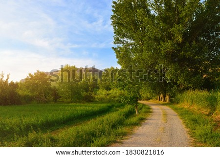 Path through a beautiful countryside landscape with sunset light Royalty-Free Stock Photo #1830821816