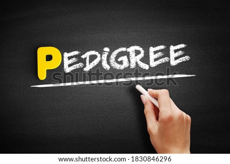 Pedigree text on blackboard, concept background Royalty-Free Stock Photo #1830846296