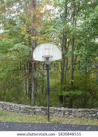 Basketball Hoop in front of fall trees. New York September 2020