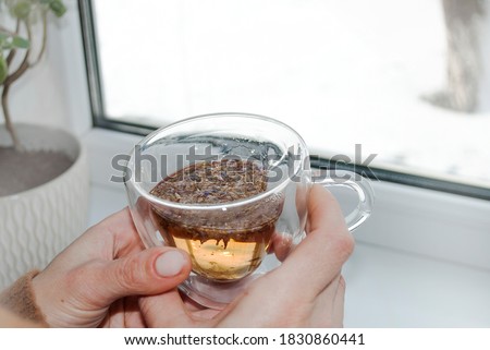 Young woman enjoying morning tea with lavender looking out the winter window. Beautiful romantic girl drinking hot drink in a cozy home. The mood of a winter day.