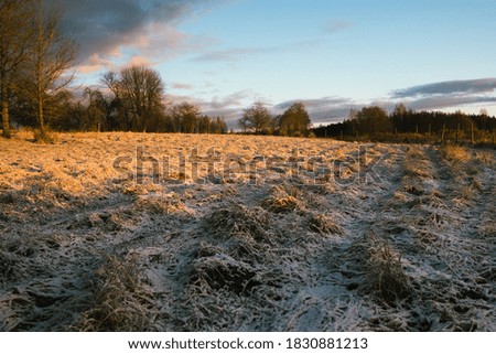 sunrise autumn morning in the countryside, shadows and light sides, the ground is covered with a thin layer of snow