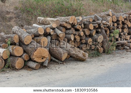 A woodpile is stacked near the road. Stock photo.