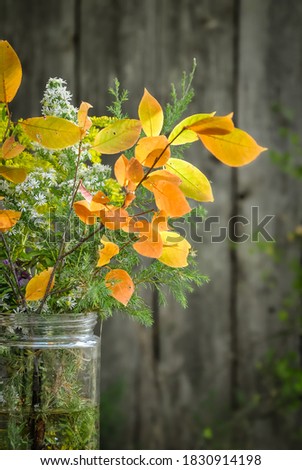 Autumn leaves and wildflowers in a vase background  