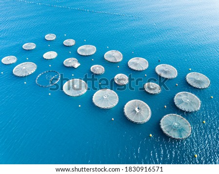 Aerial photography of fish farms