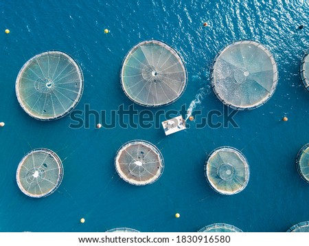 Aerial photography of fish farms