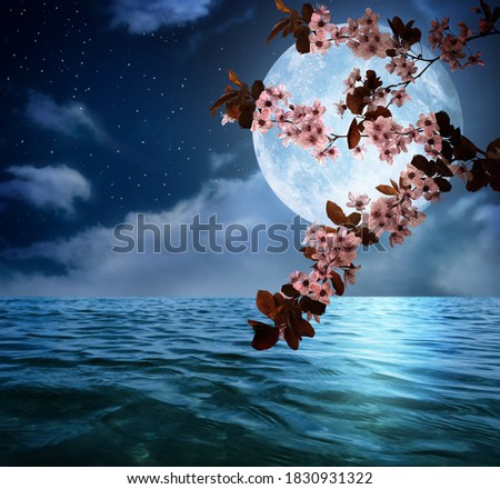 Fantasy world. Blossoming cherry tree branch and full moon in starry sky over ocean