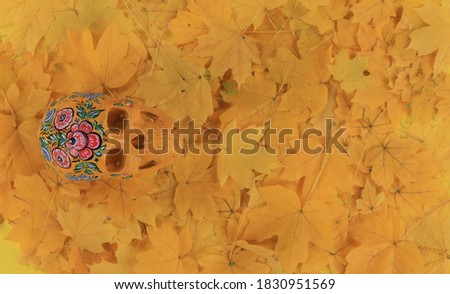 skull for Day of the Dead, autumn yellow maple leaves background