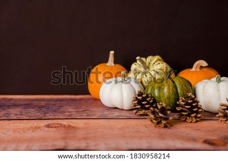 
pumpkins on wooden floor. Front view