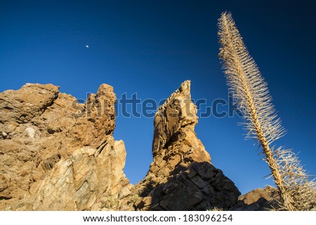 Natur, rock's landscape. Teide National Park stones and rocks. Tenerife Canary islands, Spain. Blue sky with moon.