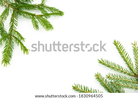 Fir branches isolated on a white background. Copy space. New Year Christmas. Universal template.