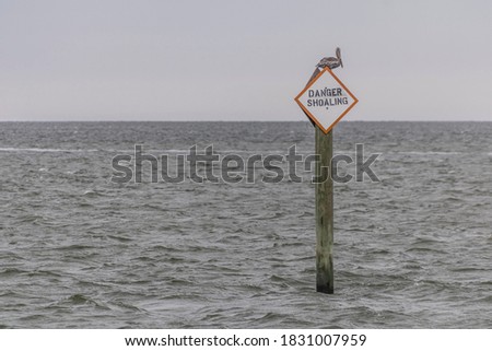 Danger Shoaling signage in the inlet channel with pelican