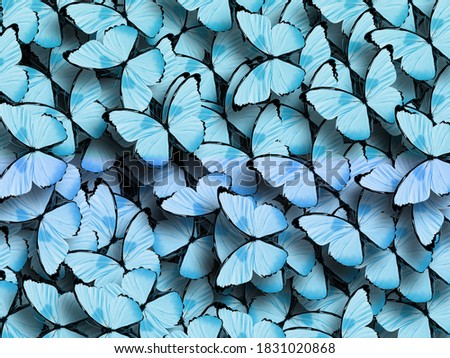 beautiful background of tropical butterflies
