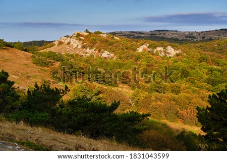 The colorful trees in the fall. Protruding white rocks in the middle of the forest. Crimea
