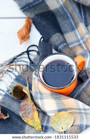 Cup of tea and warm scarf on white wooden bench, picnic in the autumn park. Fall season, weekend, teatime, still life, leisure time and tea break concept. Selective focus. Top view, copy space.