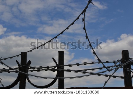 Barbed wire on the fence