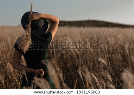 girl in a hat stands with her back in a field of spikelets at sunset