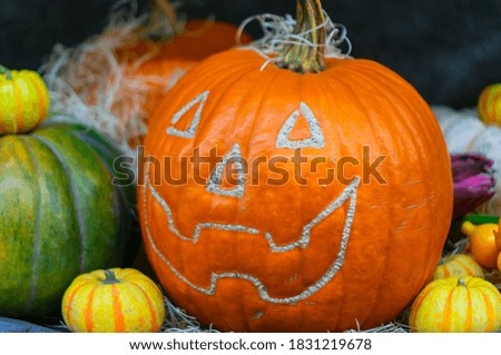 An orange pumpkin with a Halloween face surrounded by colorful pumpkins.