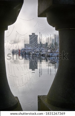 Coal Harbour Stanley Park Cobwebs. The Vancouver skyline from the Stanley Park seawall on a foggy morning. British Columbia, Canada.

                              