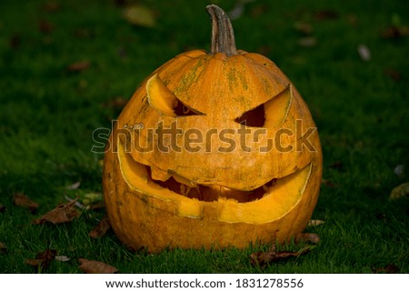 Pumpkin Jack lantern on green grass for Halloween party.