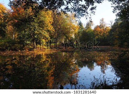 The picture was taken in the fall of 2020.The picture shows an autumn landscape on the river,beautiful trees,reflections on the water.