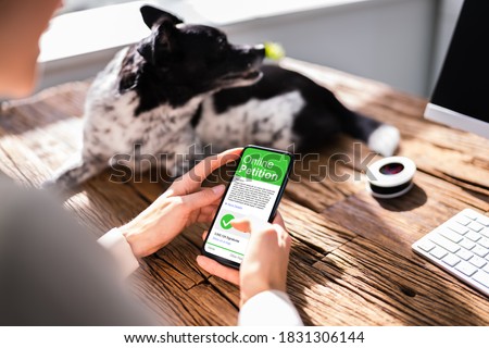 Sign Online Petition On Smartphone Using Mobile Phone App Royalty-Free Stock Photo #1831306144