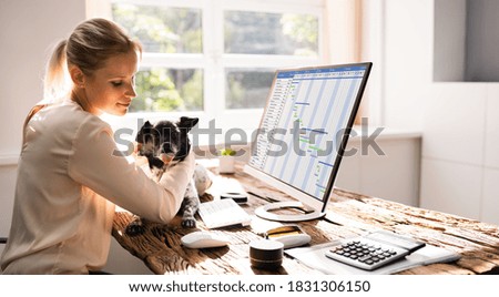 Woman Using Business Computer At Home With Dog