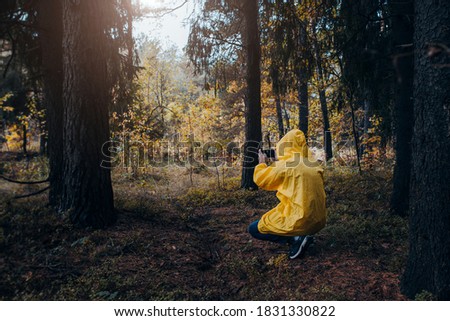 Tourist traveler in a dense coniferous forest in the rain photographs the surrounding wildlife - naturalist expedition