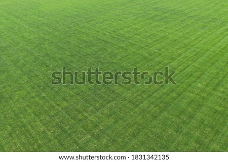 Grass background and texture great for adding green grass to real estate photos