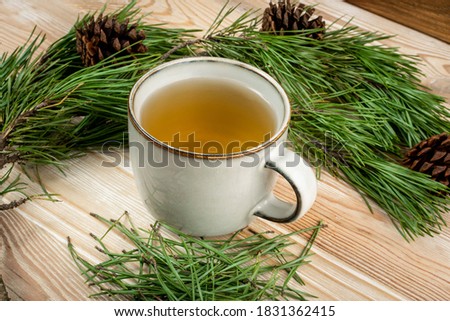 Pine needles tea in old cup. Healthy winter beverage in camping, pine tree needles tea in vintage mug. Medicine scurvy, source of vitamin C and carotene Royalty-Free Stock Photo #1831362415