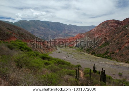 View of the valley, forest, mountain flora such as Echinopsis atacamensis giant cactus, red sandstone and rocky hills under a cloudy sky. 