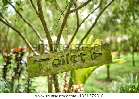 Old wooden sign covered with green moss with the inscription toilet near nature