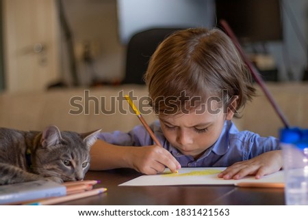 handsome toddler draws yellow sun. Kid uses colorful pencils. Cute gray cat lies on table sill with child. Friendship. Soft focus.
