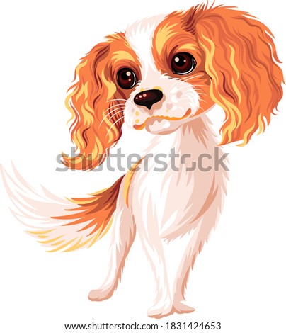 Vector cute smiling dog Cavalier King Charles Spaniel breed