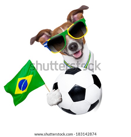 brazil soccer dog  with ball  and medal