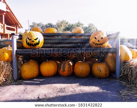 Pumpkins with scary eyes close up. Halloween concept