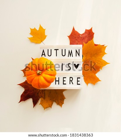 Festive autumn decor with pumpkin, leaves and lettering on a lightbox  autumn is here on a white background. Concept of Thanksgiving day or Halloween. Flat lay autumn composition